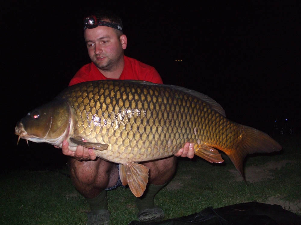 BRIGADA DIVERSE  - DSCF4249.JPG